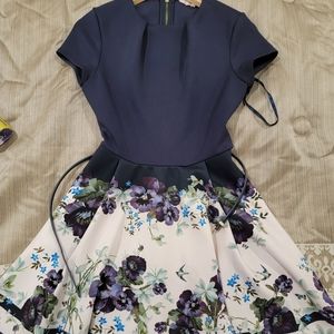 Ted baker dress